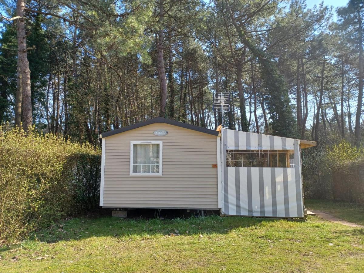 Camping La Dune Blanche Camiers Dış mekan fotoğraf